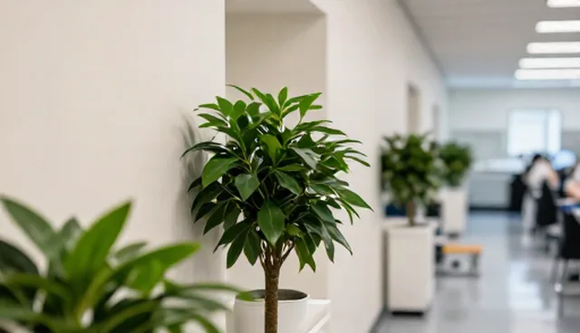 市场策略：区域精准检索的使用与维护建议